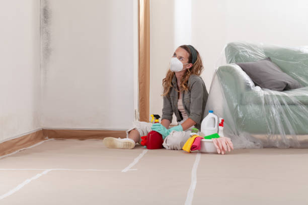 Reliable Black Mold Remediation contractor in Maple Grove, MN by Mold Remediation HQ